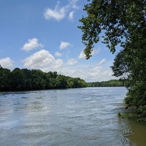 Meet your Posher, Afton